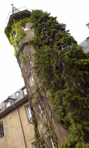 Meisenheim am Glan / Ansicht Herzog-Wolfgang-Haus